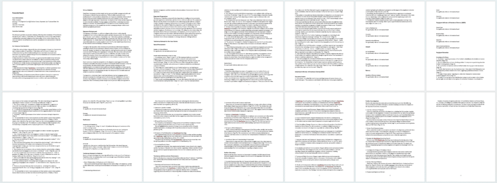 Multi-page output example of a template summary using ai.law to show how to summarize depositions